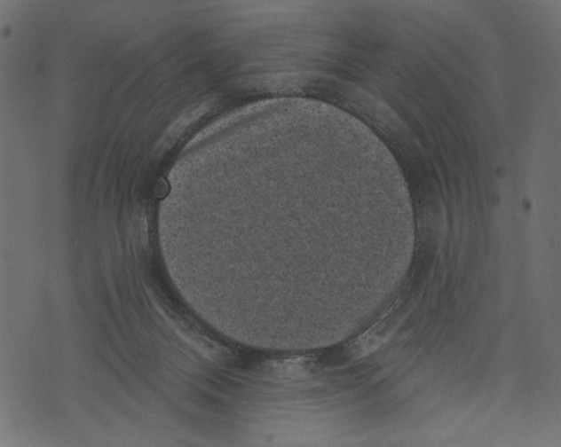 X0000072920120200608181300
