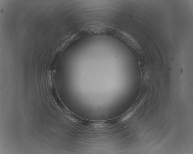 X0000072920121200608181300