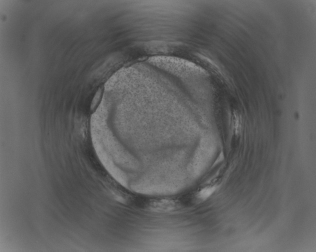 X0000072920125200608181300
