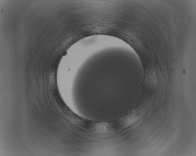 X0000072920127200608181300
