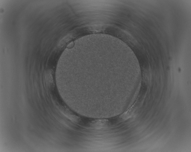 X0000072920128200608181300