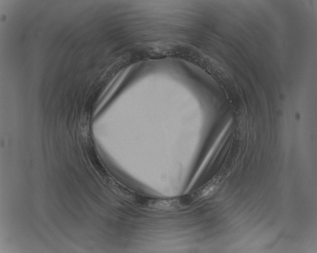 X0000072920129200608181300