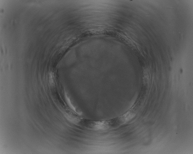 X0000072920130200608181300