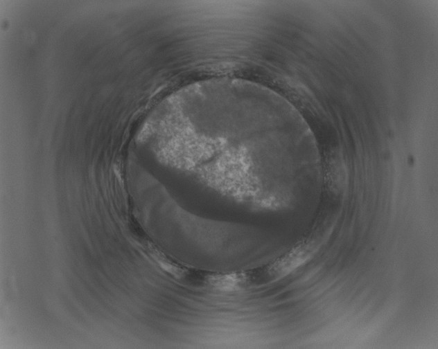 X0000072920131200608181300