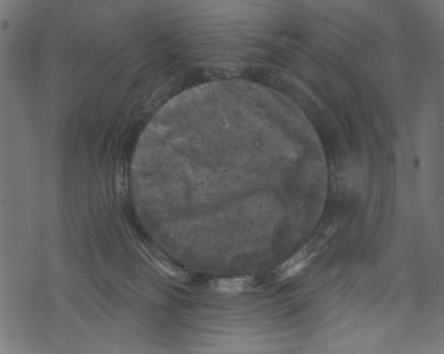 X0000072920134200608181300