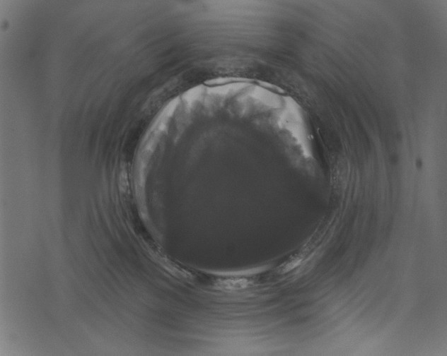X0000072920137200608181300