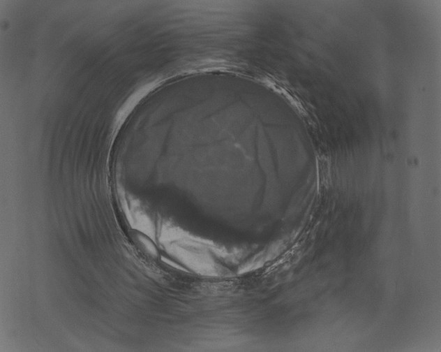 X0000072920147200608181259