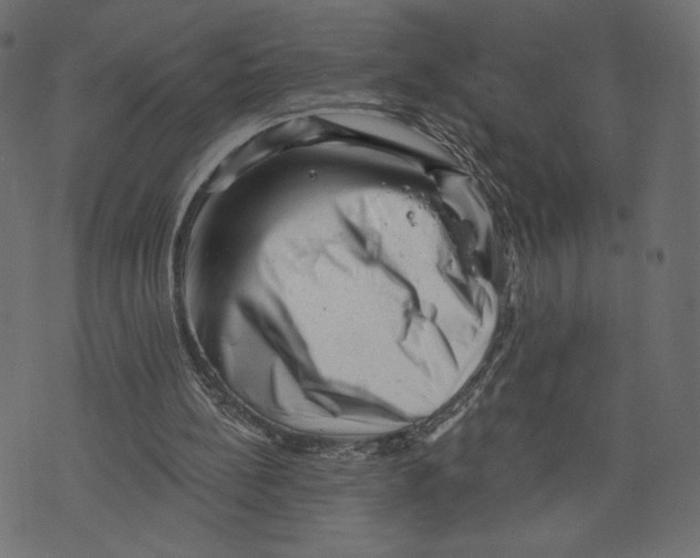 X0000072920148200608181259