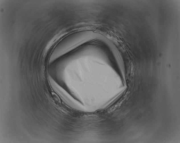 X0000072920150200608181259