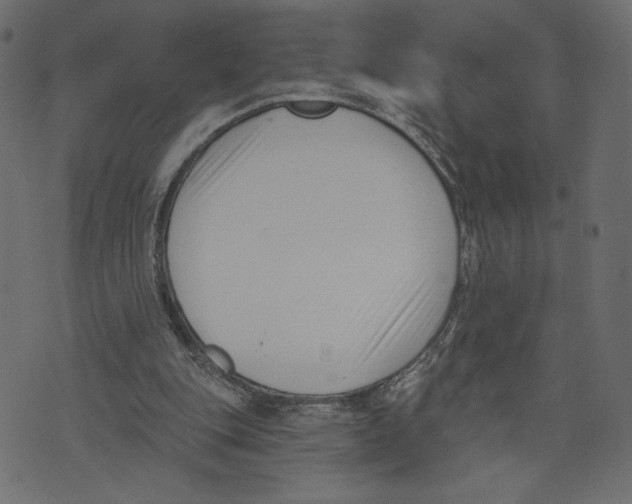 X0000072920151200608181259