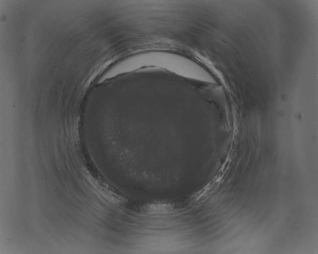 X0000072920154200608181259
