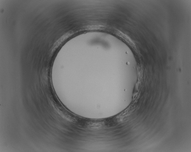 X0000072920155200608181259
