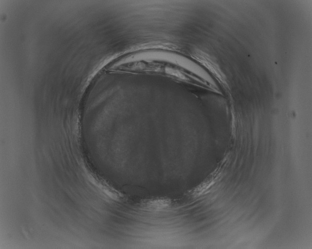 X0000072920156200608181259