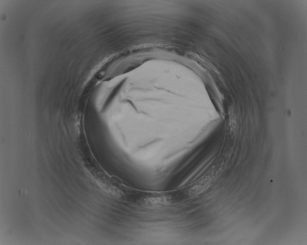 X0000072920160200608181300