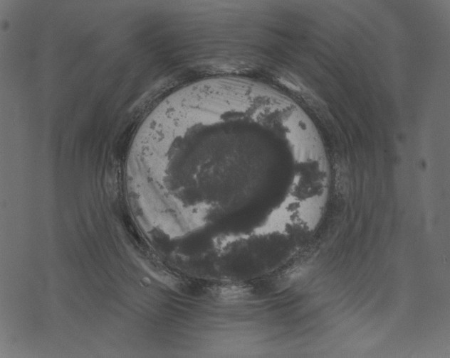 X0000072920165200608181300
