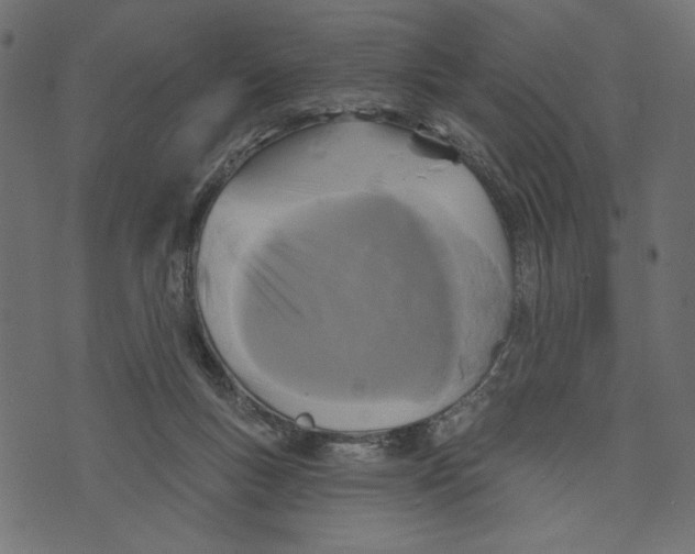 X0000072920167200608181300
