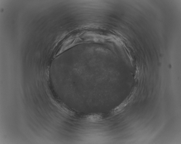 X0000072920168200608181300