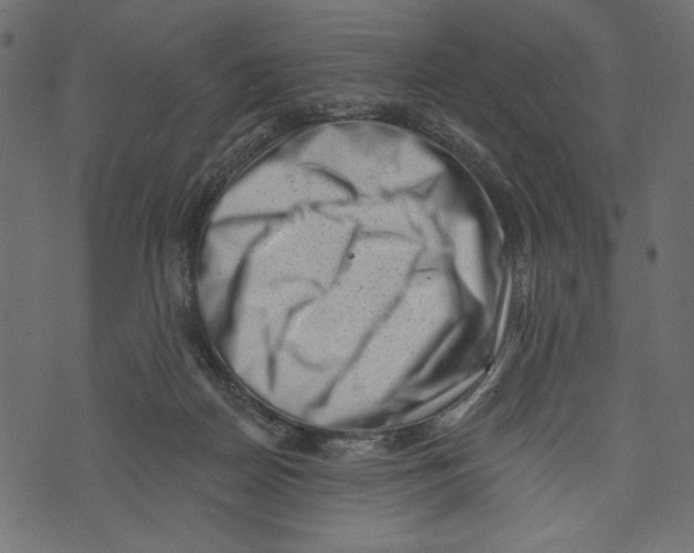 X0000072920170200608181300