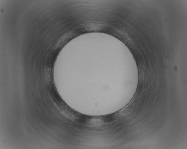 X0000072920171200608181300