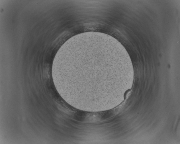 X0000072920174200608181300