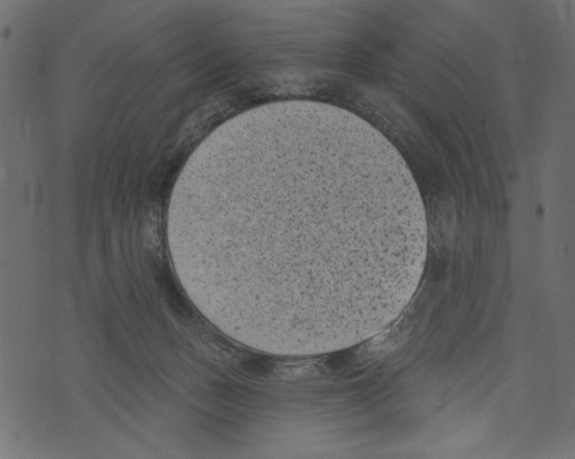 X0000072920175200608181300