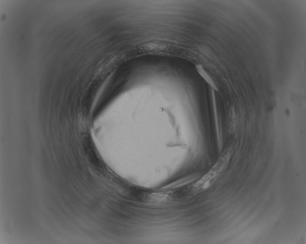 X0000072920176200608181300