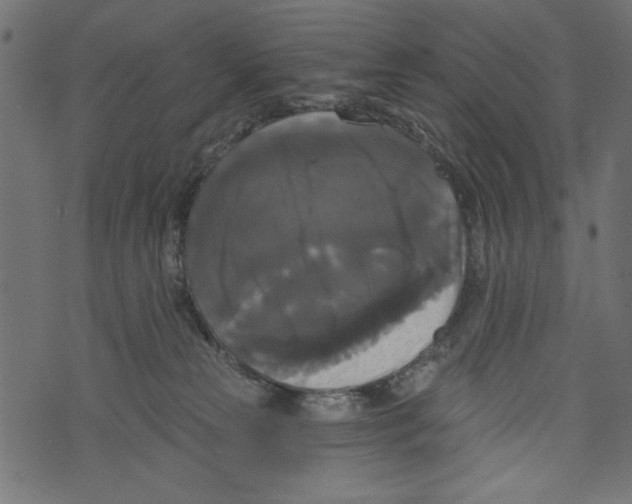 X0000072920181200608181300