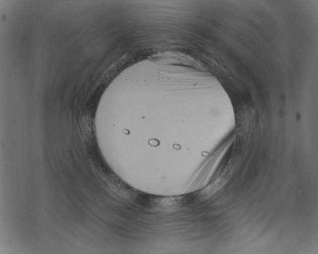X0000072920184200608181300