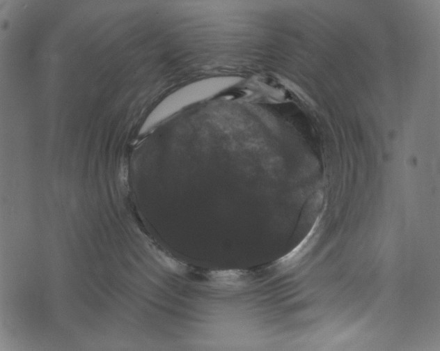 X0000072920192200608181300