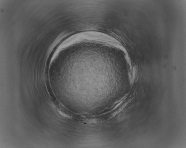 X0000072920195200608181259