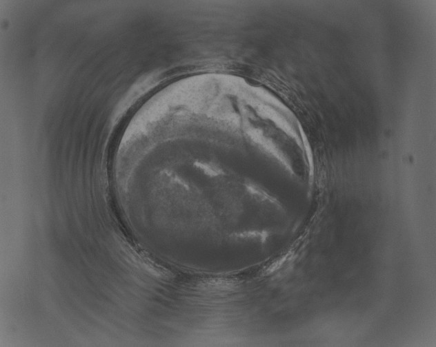 X0000072920198200608181259