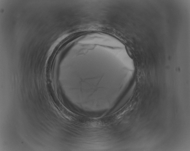 X0000072920200200608181259