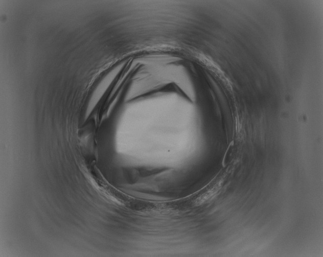 X0000072920201200608181259
