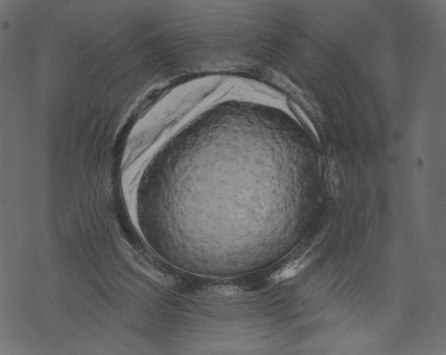 X0000072920203200608181259