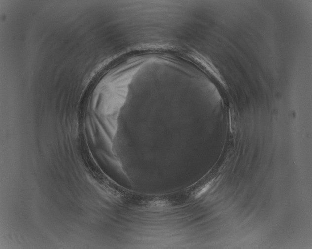 X0000072920204200608181259