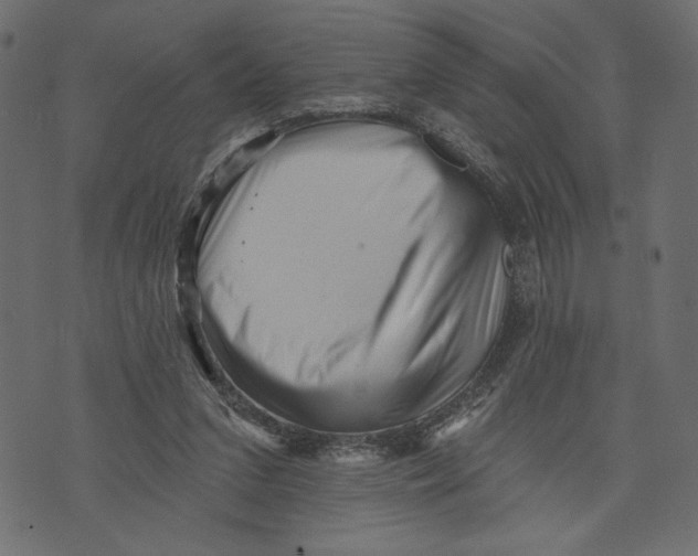 X0000072920207200608181259