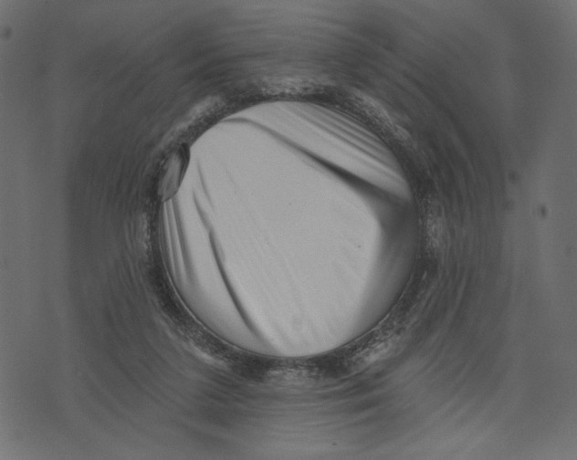 X0000072920211200608181259