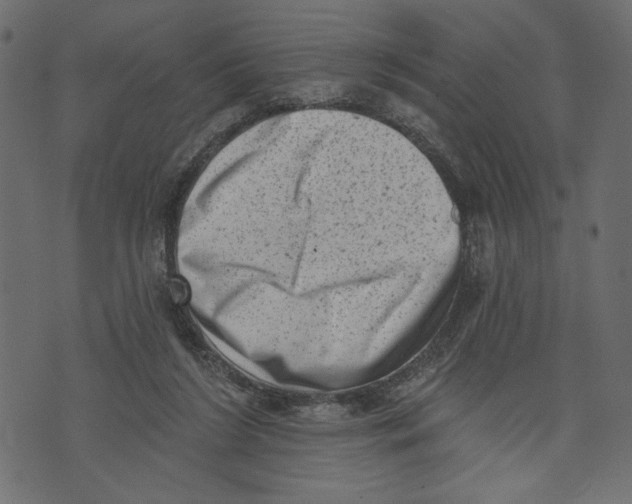 X0000072920212200608181259