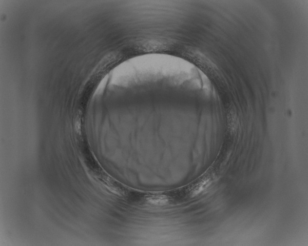 X0000072920214200608181259
