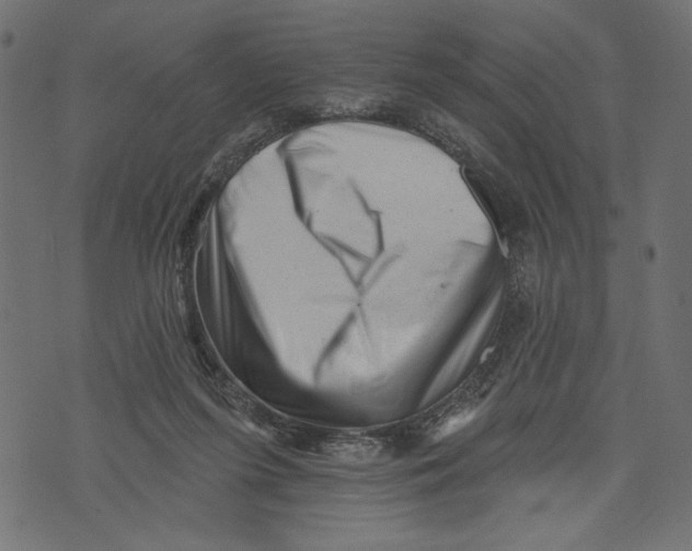 X0000072920215200608181259
