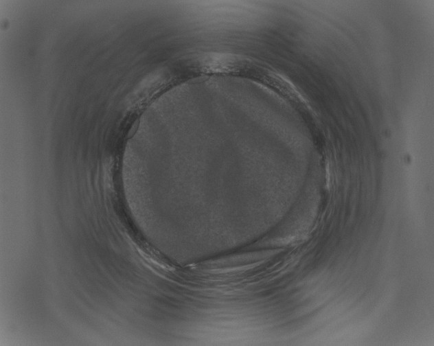 X0000072920217200608181259
