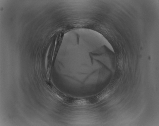 X0000072920219200608181259