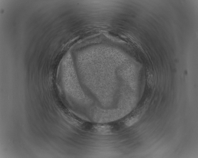 X0000072920221200608181259