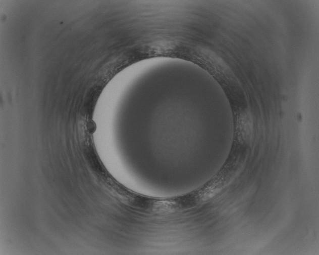X0000072920222200608181259