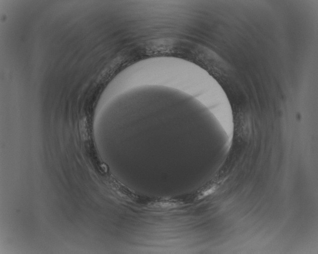 X0000072920224200608181259