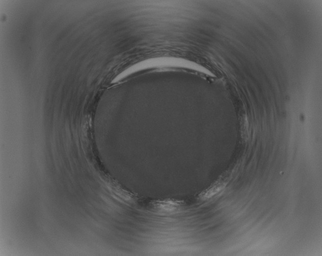 X0000072920229200608181259