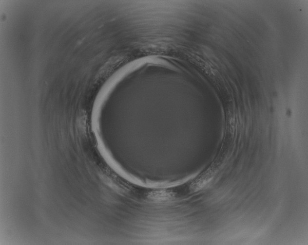 X0000072920231200608181259