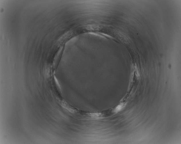 X0000072920233200608181259