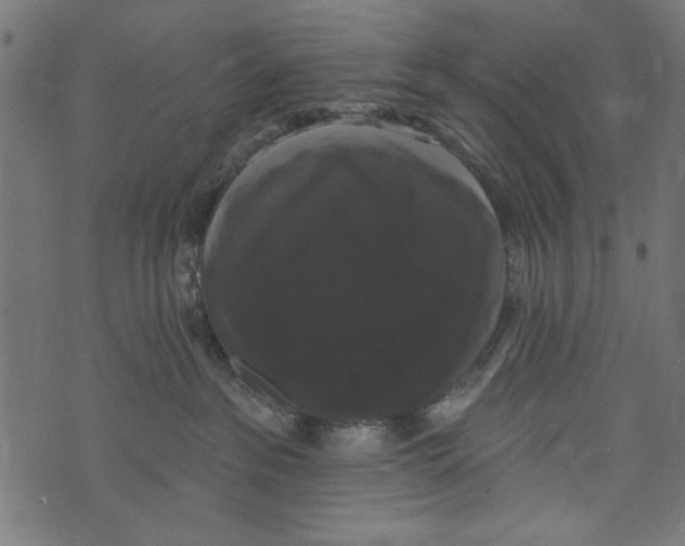 X0000072920237200608181259