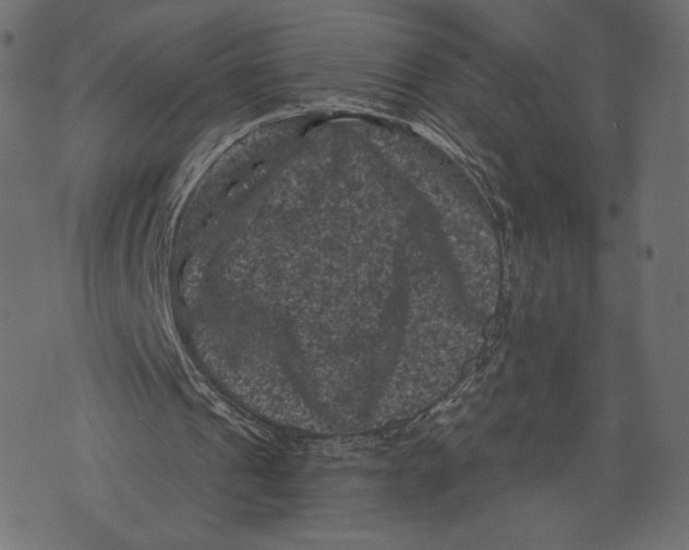 X0000072920241200608181258